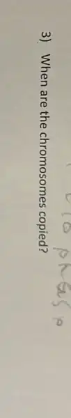 3) When are the chromosomes copied?