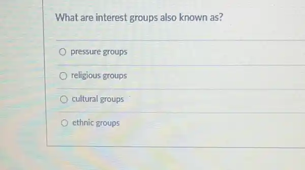 What are interest groups also known as?
pressure groups
religious groups
cultural groups
ethnic groups