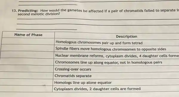 13. Predicting: How would the gametes be affected if a pair of chromatids failed to separate second meiotic division?

 Name of Phase & multicolumn(1)(|c|)( Description ) 
 & Homologous chromosomes pair up and form tetrad 
 & Spindle fibers move homologous chromosomes to opposite sides 
 & Nuclear membrane reforms, cytoplasm divides, 4 daughter cells forme 
 & Chromosomes line up along equator, not in homologous pairs 
 & Crossing-over occurs 
 & Chromatids separate 
 & Homologs line up alone equator 
 & Cytoplasm divides, 2 daughter cells are formed