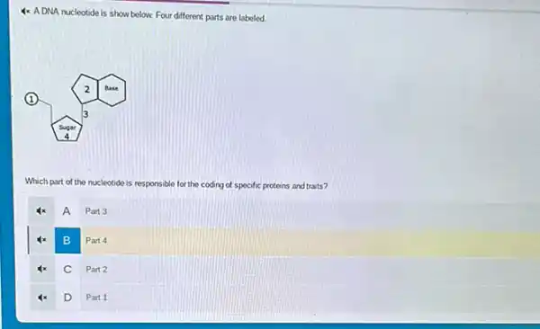 4x ADNA nucleotide is show below. Four different parts are labeled.
(1)
Which part of the nucleotide is responsible for the coding of specific proteins and traits?
A
Part 3
B
Part 4
C
Part 2
D
Part 1