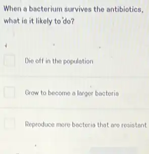 When a bacterium survives the antibiotics.
what is it likely to do?
Die off in the population
Grow to become o larger bacteria
Reproduce more bacteria that are resistant