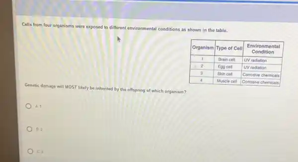 Cells from four organisms were exposed to different environmental conditions as shown in the table.

 Organism & Type of Cell & }(c)
Environmental 
Condition
 
 1 & Brain cell & UV radiation 
 2 & Egg cell & UV radiation 
 3 & Skin cell & Corrosive chemicals 
 4 & Muscle cell & Corrosive chemicals 


Genetic damage will MOST likely be inherited by the offspring of which organism?
A. 1
B. 2
C. 3