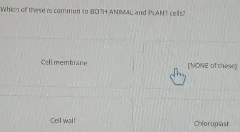 Which of these is common to BOTH ANIMAL and PLANT cells?
Cell membrane
[NONE of these]
Cell wall
Chloroplast