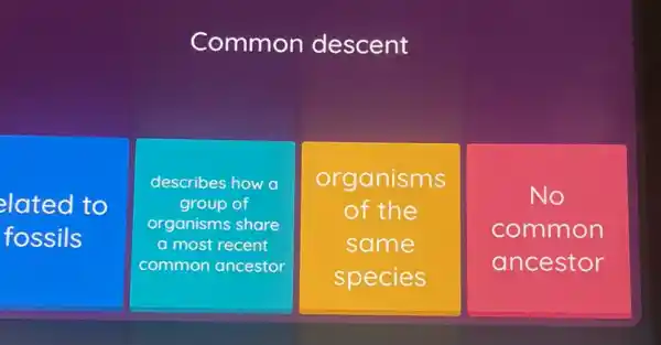 Common descent
lated to
fossils
describes how a
group of
organisms share
a most recent
common ancestor
organisms
of the
same
species
No
common
ancestor