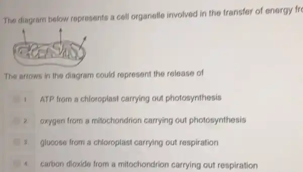 The diagram below represents a cell organelle involved in the transfer of energy fre
The arrows in the diagram could represent the release of
1. ATP from a chloroplast carrying out photosynthesis
2. oxygen from a mitochondrion carrying out photosynthesis
3. glucose from a chloroplast carrying out respiration
4 carbon dioxide from a mitochondrion carrying out respiration