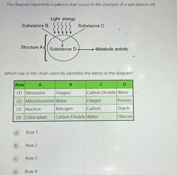 The diagram represents a prócess that occurs in the structure of a specialized cell.
Which row in the chart correctly identifies the letters in the diagram?
A Row 1
B Row 2
C Row 3
D Row 4