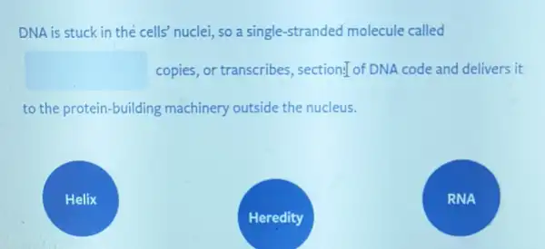 DNA is stuck in the cells' nuclei, so a single-stranded molecule called
square  copies, or transcribes , sections of DNA code and delivers it
to the protein-building machinery outside the nucleus.
Helix
RNA
Heredity