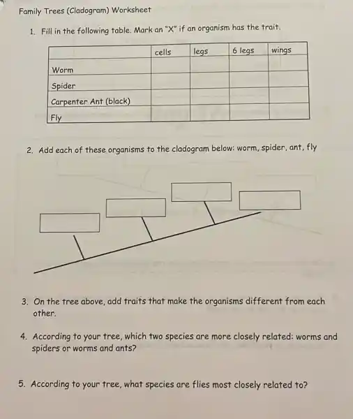 Family Trees (Cladogram)Worksheet
1. Fill in the following table. Mark an "X"if an organism has the trait.
square 
square 
square 
square 
square 
square 
square 
square 
square 
square 
square 
square 
square 
square 
square 
square 
square 
2. Add each of these organisms to the cladogram below: worm , spider,ant,fly
square 
square 
square 
square 
square 
3. On the tree above add traits that make the organisms different from each
other.
4. According to your tree , which two species are more closely related:worms and
spiders or worms and ants?
5. According to your tree, what species are flies most closely related to?