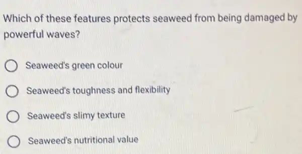 Which of these features protects seaweed from being damaged by
powerful waves?
Seaweed's green colour
Seaweed's toughness and flexibility
Seaweed's slimy texture
Seaweed's nutritional value