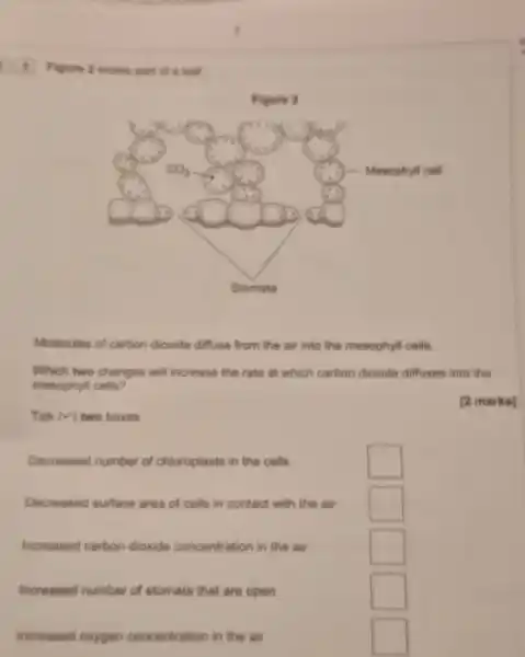 Figure 2 shows part of in leaf
Molecules of carbon dioxide diffuse from the air into the mesophyll cells.
Which two changes will increase the rate at which carbon dioxide diffuses into the
mesophyll cells?
[2 marks]
Tick (surd ) two boxes
Decreased number of chloroplasts in the cells
square 
Decreased surface area of cells in contact with the air
square 
increased carbon dioxide concentration in the air
square 
increased number of stomata that are open
square 
increased oxygen concentration in the air
square