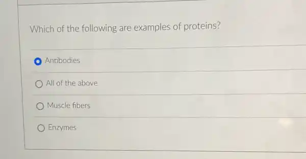 Which of the following are examples of proteins?
C Antibodies
) All of the above
Muscle fibers
Enzymes