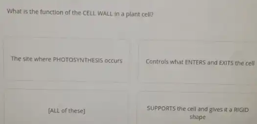 What is the function of the CELL WALL in a plant cell?
The site where PHOTOSYNTHESIS occurs
Controls what ENTERS and EXITS the cell
[ALL of these]
SUPPORTS the cell and gives it a RIGID
shape