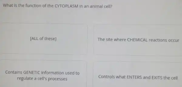 What is the function of the CYTOPLASM In an animal cell?
[ALL of these]
The site where CHEMICAL reactions occur
Contains GENETIC Information used to
regulate a cell's processes
Controls what ENTERS and EXITS the cell