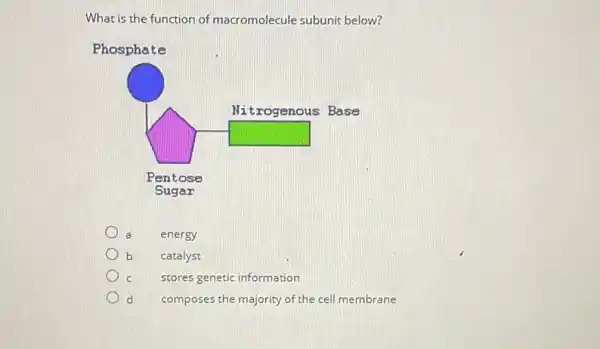 What is the function of macromolecule subunit below?
Phosphate
square 
a energy
b catalyst
stores genetic information
d composes the majority of the cell membrane