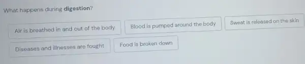 What happens during digestion?
Air is breathed in and out of the body
Blood is pumped around the body
Sweat is released on the skin
Diseases and illnesses are fought
Food is broken down