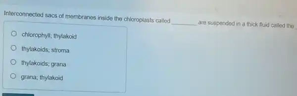 Interconnected sacs of membranes inside the chloroplasts called
__ are suspended in a thick fluid called the
chlorophyll; thylakoid
thylakoids; stroma
thylakoids; grana
grana; thylakoid