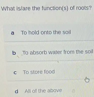 What is/are the function(s) of roots?
a To hold onto the soil
b To absorb water from the soil
c To store food
d All of the above