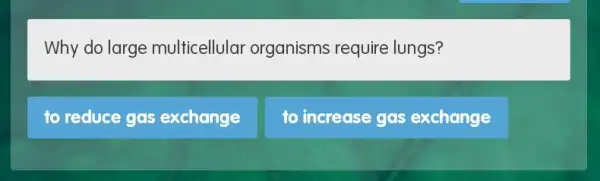 Why do large multicellular organisms require lungs?
to reduce gas exchange
to increase gas exchange