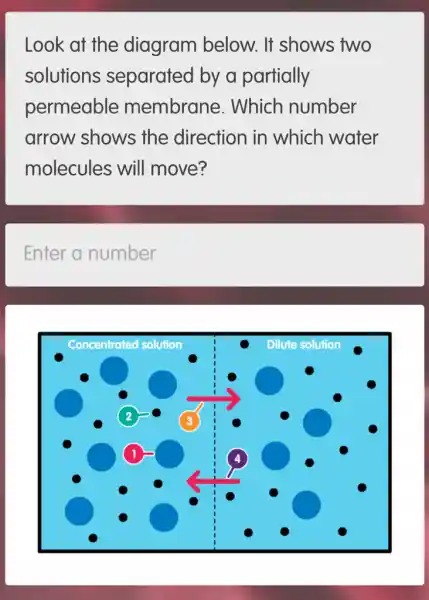 Look at the diagram below.. It shows two
solutions separated by a partially
permeable membrane . Which number
arrow shows the direction in which water
molecules will move?
Enter a number