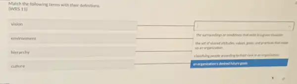 Match the following terms with their definitions:
(WRS 11)
vision
environment
hierarchy
culture
the surroundings or conditions that exist in a given situation the set of shared attitudes values, goals, and practices that make up an organization
classifying people according to their rank in an organization an organization's desired future goals