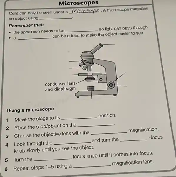 Microscopes
Cells can only be seen under a
__
an object using __
Remember that:
the specimen needs to be
__ so light can pass through
a __
can be added to make the object easier to see.
Using a microscope
1 Move the stage to its
__ position.
2 Place the slide/object on the
__
3 Choose the objective lens with the
__ magnification.
-focus
4 Look through the
__ and turn the __
knob slowly until you see the object.
5 Turn the __
focus knob until it comes into focus.
6 Repeat steps
1-5 using a
__ magnification lens.