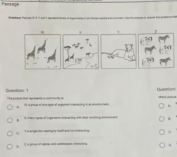 Passage
Directions: Pictures W. and Z represent levels of organization in an African savanna environment. Use the pictures to answer any questions that
Question: 1
Question:
The picture that represents esents a community is
Which picture
A.
W, a group of one type of organism interacting in an environment.
A.
B.X, many types of organisms interacting with their nonliving environment.
B.
C. Y,a single lion resting by itself and not interacting.
C.
a group of zebras and wildebeests interacting.
D.