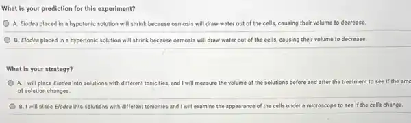 What is your prediction for this experiment?
A. Elodea placed in a hypotonic solution will shrink because osmosis will draw water out of the cells, causing a their volume to decrease.
B. Elodea placed in a hypertonic solution will shrink because osmosis will draw water out of the cells, causing their volume to decrease.
What is your strategy?
A. I will place Elodea into solutions with different tonicities and I will measure the volume of the solutions before and after the treatment to see if the amc
of solution changes.
B. I will place Elodea into solutions with different tonicities and I will examine the appearance e of the cells under a microscope to see if the cells change.