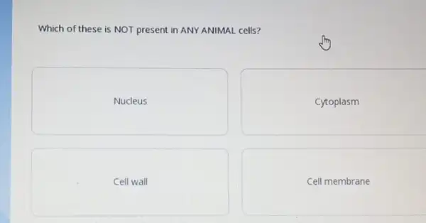 Which of these is NOT present in ANY ANIMAL cells?
Nucleus
Cytoplasm
Cell wall
Cell membrane