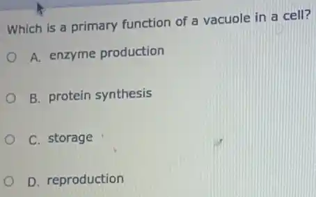 Which is a primary function of a vacuole in a cell?
A. enzyme production
B. protein synthesis
C. storage
D. reproduction