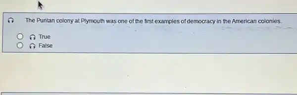 The Puritan colony at Plymouth was one of the first examples of democracy in the American colonies.
True
False