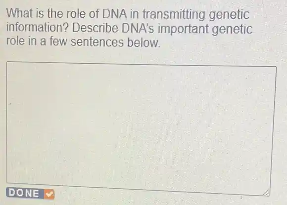 What is the role of DNA in transmitting genetic information? Describe DNA's important genetic role in a few sentences below.