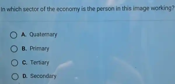 In which sector of the economy is the person in this image working?
A. Quaternary
B. Primary
C. Tertiary
D. Secondary