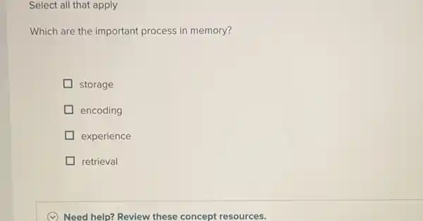 Select all that apply
Which are the important process in memory?
storage
encoding
experience
retrieval