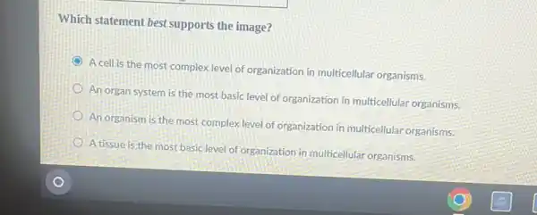 Which statement best supports the image?
A cell is the most complex level of organization in multicellular organisms.
An organ system is the most basic level of organization in multicellular organisms.
An organism is the most complex level of organization in multicellular organisms.
A tissue is the most basic level of organization in multicellular organisms.