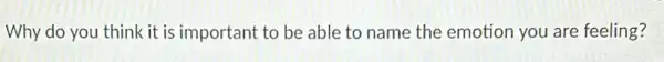 Why do you think it is important to be able to name the emotion you are feeling?