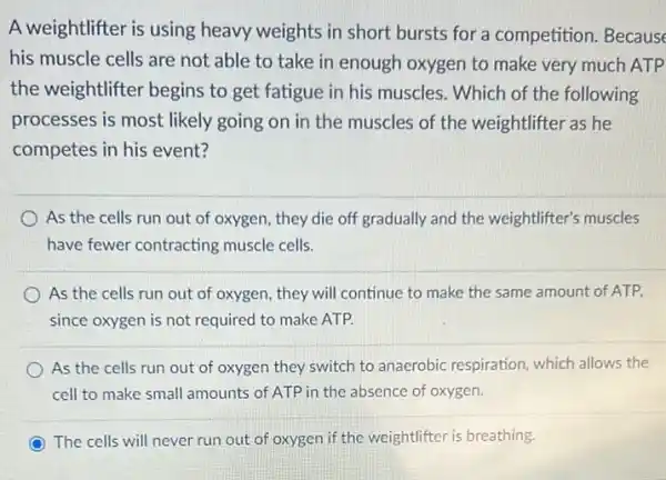 A weightlifter is using heavy weights in short bursts for a competition Because
his muscle cells are not able to take in enough oxygen to make very much ATP
the weightlifter begins to get fatigue in his muscles. Which of the following
processes is most likely going on in the muscles of the weightlifter as he
competes in his event?
As the cells run out of oxygen, they die off gradually and the weightlifter's muscles
have fewer contracting muscle cells.
As the cells run out of oxygen, they will continue to make the same amount of ATP.
since oxygen is not required to make ATP.
As the cells run out of oxygen they switch to anaerobic respiration, which allows the
cell to make small amounts of ATP in the absence of oxygen.
The cells will never run out of oxygen if the weightlifter is breathing.