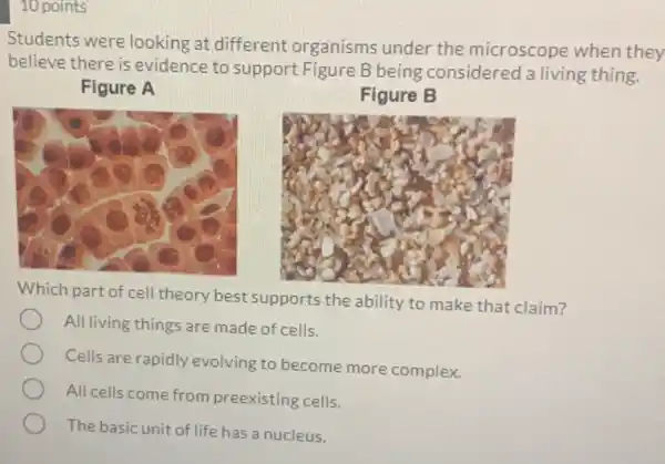 10 points
Students were looking at different organisms under the microscope when they
believe there is evidence to support Figure B being considered a living thing.
Figure A
Figure B
Which part of cell theory best supports the ability to make that claim?
All living things are made of cells.
Cells are rapidly evolving to become more complex.
All cells come from preexisting cells.
The basic unit of life has a nucleus.