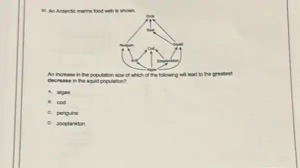 30. An Antarctic marine food web is shown
Seal
Penguin	Squid
Cod.
Zooplankton
Algae
An increase in the population size of which of the following will lead to the greatest
decrease in the squid population?
A algae
B. cod
C. penguins
D. zooplankton