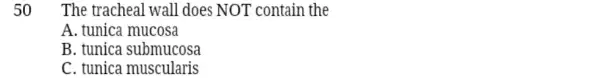 50 . The tracheal wall does NOT contain the
A. tunica mucosa
B. tunica submucosa
C. tunica muscularis