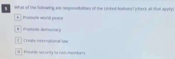 5
What of the following are responsibilities of the United Nations? (check all that apply)
A Promote world peace
B Promote democracy
Create international law
D Provide security to non members