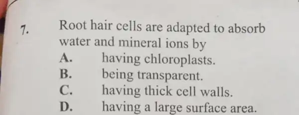 7.
Root hair cells are adapted to absorb
water and mineral ions by
A. having chloroplasts.
B. being transparent.
C. having thick cell walls.
D. having a large surface area.