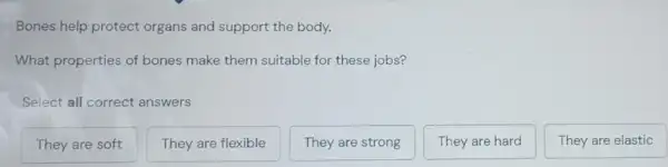 Bones help protect organs and support the body.
What properties of bones make them suitable for these jobs?
Select all correct answers
They are soft
They are flexible
They are strong
They are hard
They are elastic