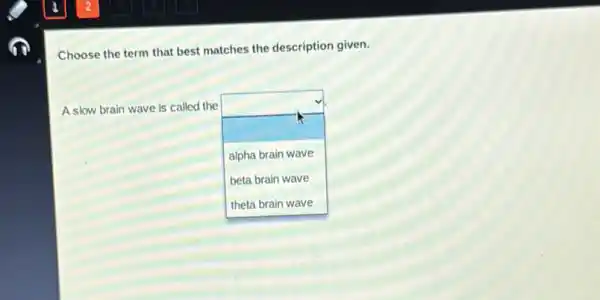 Choose the term that best matches the description given.
A slow brain wave is called the