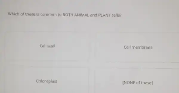 Which of these is common to BOTH ANIMAL and PLANT cells?
Cell wall
Cell membrane
Chloroplast
[NONE of these]