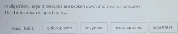 In digestion, large molecules are broken down into smaller molecules.
This breakdown is sped up by...
fossil fuels.
chloroplasts.
enzymes.
hydrocarbons.
substrates.