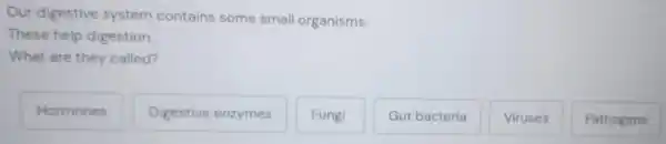 Our digestive system contains some small organisms.
These help digestion.
What are they called?
Hormones
Digestive enzymes
Fungi
Gut bacteria
Viruses
Pathogens