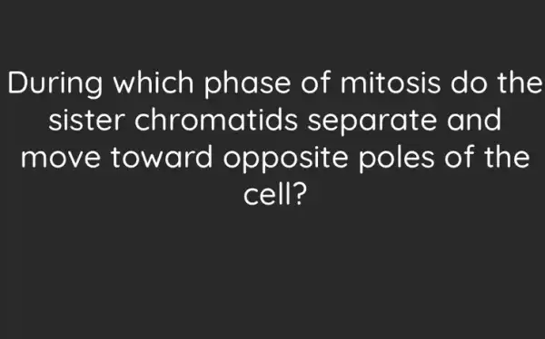 Durin g which phase o f mito sis do th e
siste r chroma tids se para te an d
move towa rd opp osite po les of the
cell?