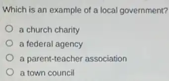 Which is an example of a local government?
a church charity
a federal agency
a parent-teacher association
a town council