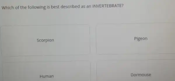 Which of the following is best described as an INVERTEBRATE?
Scorpion
Pigeon
Human
Dormouse