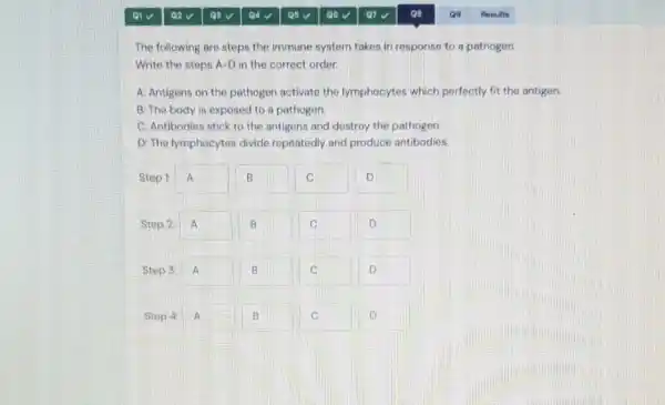 The following are steps the immune system takes in response to a pathogen.
Write the steps A-D in the correct order.
A: Antigens on the pathogen activate the lymphocytes which perfectly fit the antigen
B: The body is exposed to a pathogen
C: Antibodies stick to the antigens and destroy the pathogen.
D: The lymphocytes divide repeatedly and produce antibodies
A A
D
A Step 2: A B	C	D
Step 3: A	B	c	D